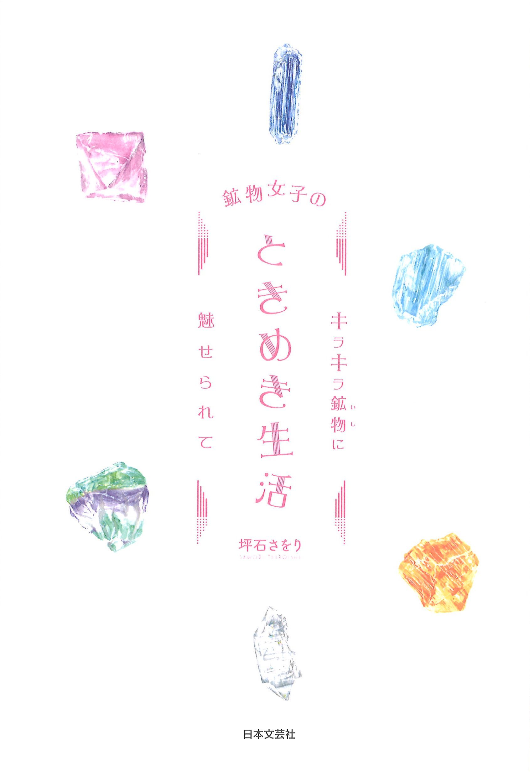 鉱物女子のときめき生活 キラキラ鉱物 いし に魅せられて 坪石 さをり 配送料無料