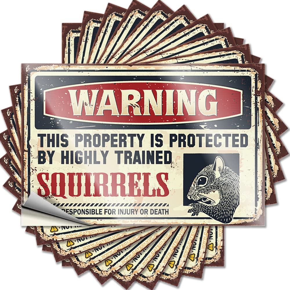 Tattoos Goods Vinyl Sticker | Warning This Property is Protected By A Highly Trained Squirrel Plastic for Teacher Use(6X9CM)