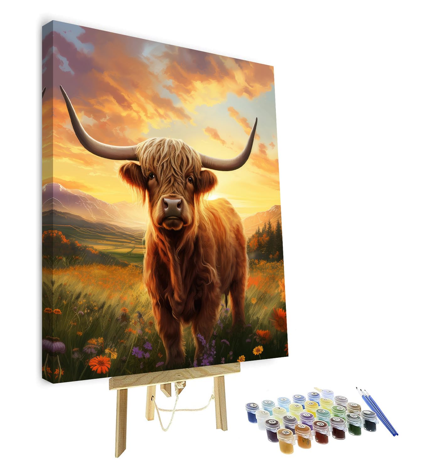 Paint by Numbers Kit for Adults Highland Cattle on the Meadow at Sunset DIY Paint by Numbers for Adults Highland cow Oil Painting with Brushes Adult Paint by Number Kits Art Crafts Framed 16x20 in