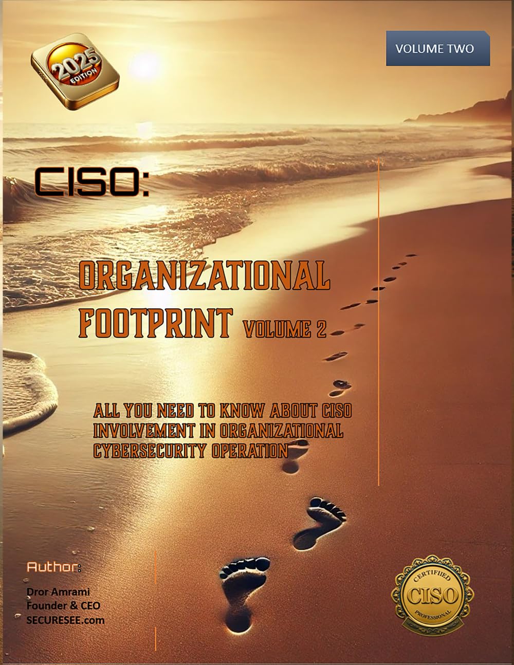 CISO Organizational Footprint Volume 2: All you need to know about CISO involvement in organizational cybersecurity operation - Volume 2