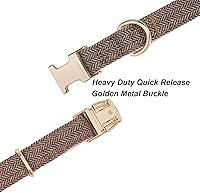 Vista 150 de Collar de Algodón Suave para Perro con Hebilla de Metal Ajustable de Servicio Pesado Cómodo Collares de Pana para Perros Pequeños, Medianos