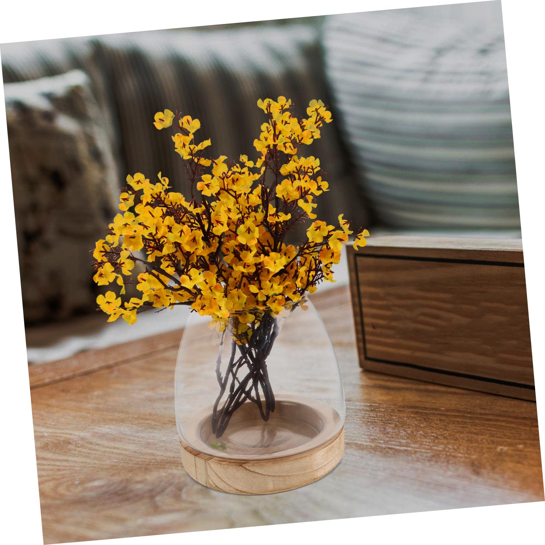 Amosfun Vase hydroponique Petit Vase de Terrarium récipients en Verre hydroponiques décor de de Plantes Station d'enracinement en Transparent