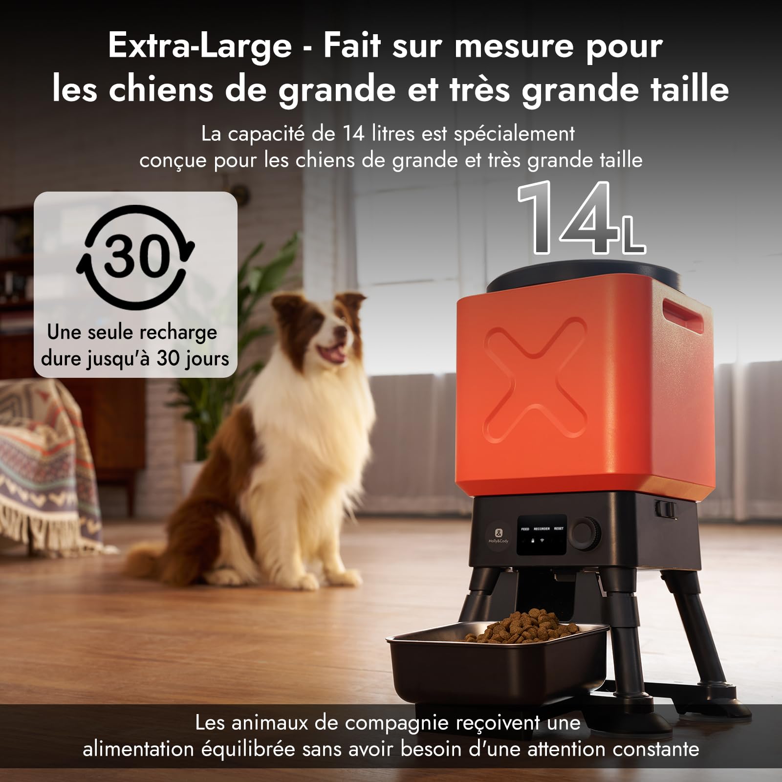 Molly&Cody Distributeur Automatique Croquette, 14L Grande Capacité Alimentateur Gamelle Automatique pour Animaux, Programmer 6 Repas, Acier Inoxydable Idéal pour Les Grands Chiens