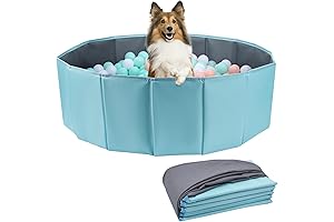 Enticing Ball Pit: The Ultimate Playzone for Canine Companions