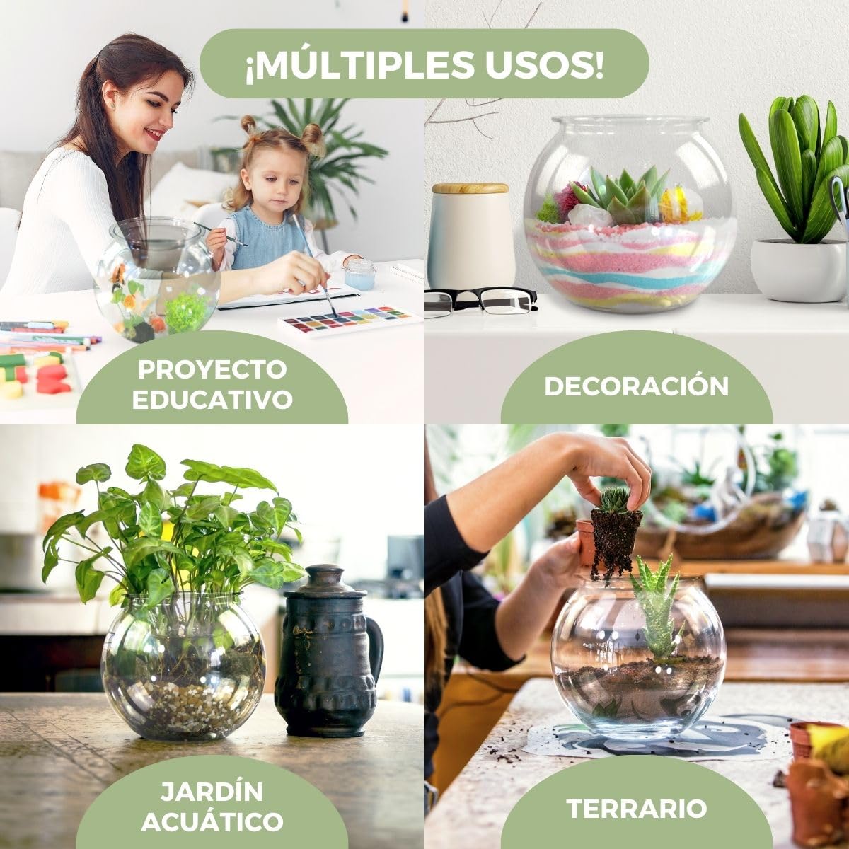 Mobiclinic® Pets, Pecera pequeña, Nemo, 4 litros, Plástico Pet Eco, Redonda, Diseño Transparente, 20x20x17, 5cm, Fácil Limpieza, Resistente, Ideal para decoración del hogar, Hierbas acuáticas