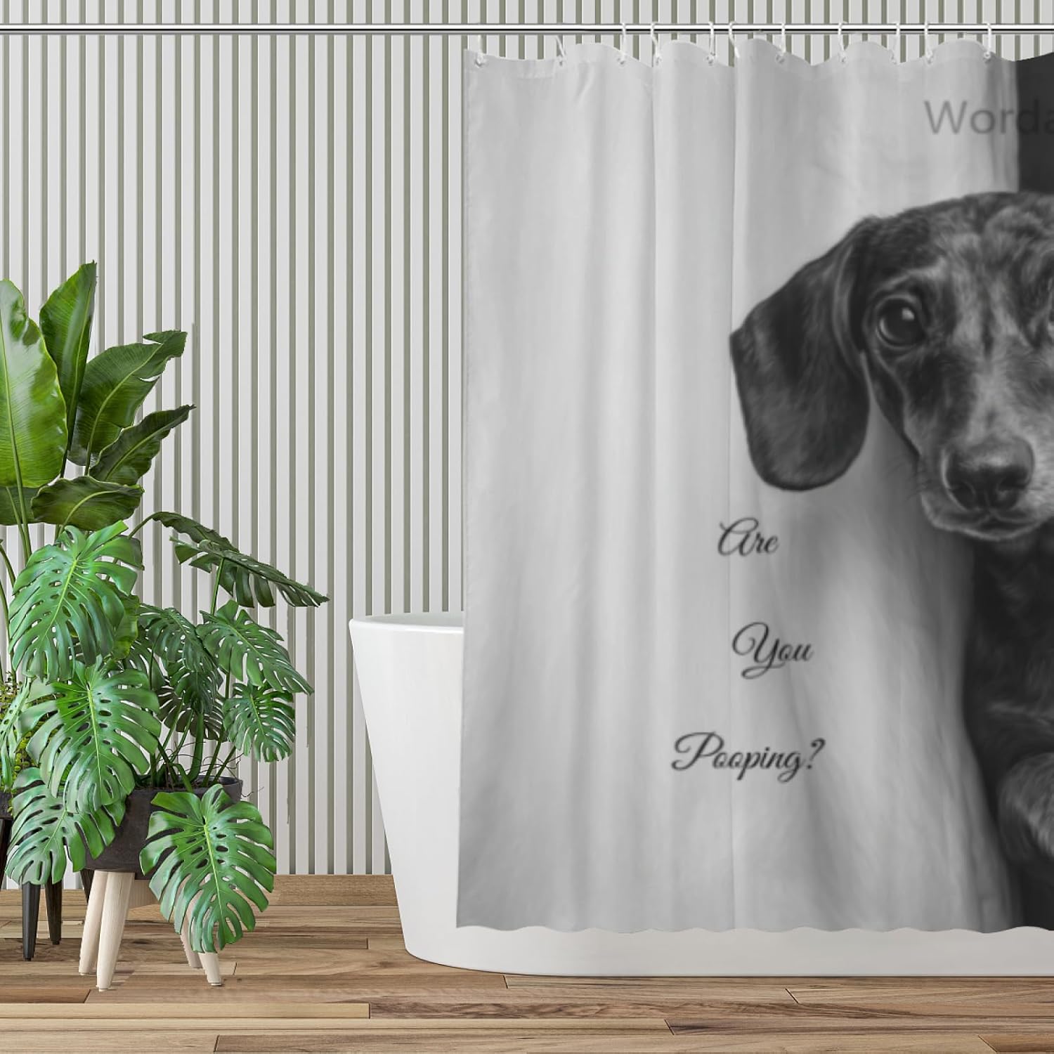 Dachshund Shower Curtain are You Pooping Decor Fabric Bathroom Curtains, Kids Children Rustic 72x72 Inch Black and White