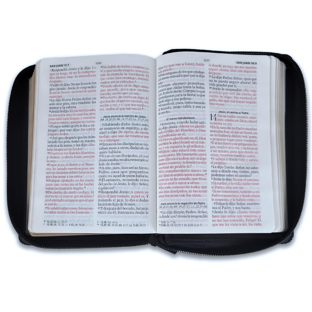 Biblia Clasica Compacta Reina Valera 1960 Letra 10 puntos con Cierre imit piel negro      Imitation Leather – January 1, 2026