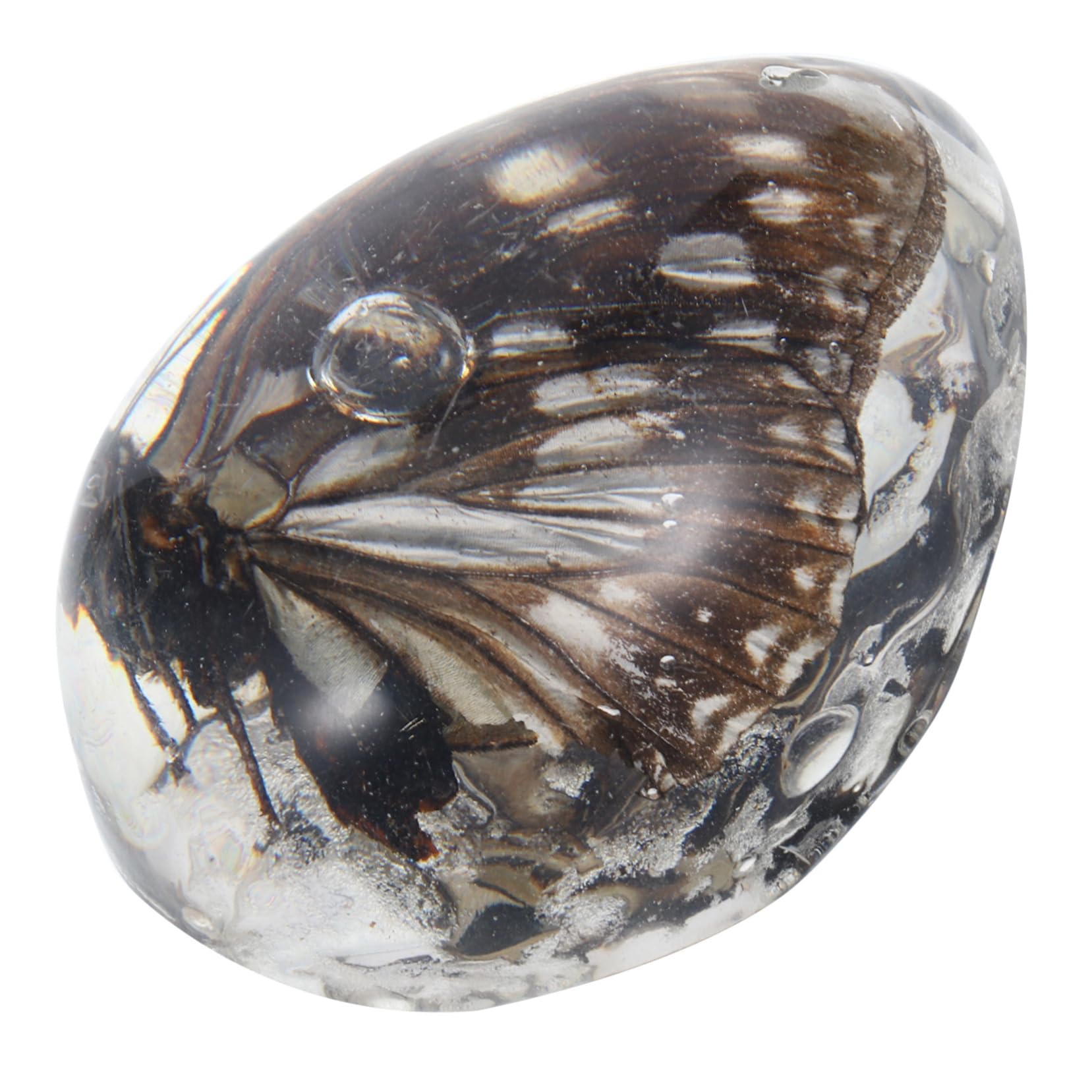 PartyKindom Amber Pendant Amber Ornament Amber Collection Butterfly Specimen Insect Amber Decoration Insect Amber Specimen Amber Stone Pendant Amber Stone Charm Amber Charm Transparent Beeswax