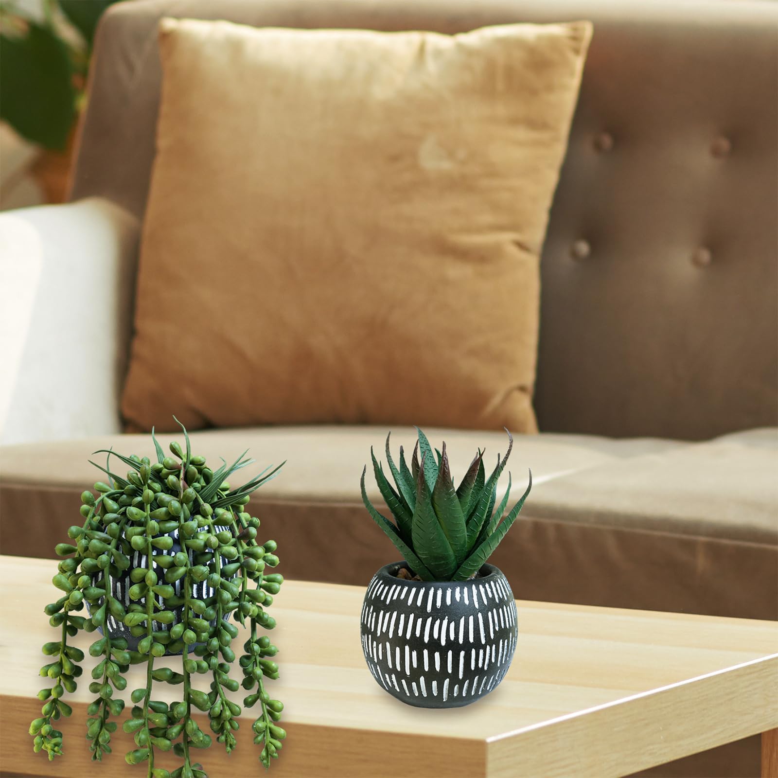 Winlyn Juego de 3 pequeñas plantas suculentas artificiales en maceta, lúpulo de aloe sintético, colgantes en macetas de hormigón negro, para regalo, hogar, oficina, baño, sala de estar, boda, alféizar