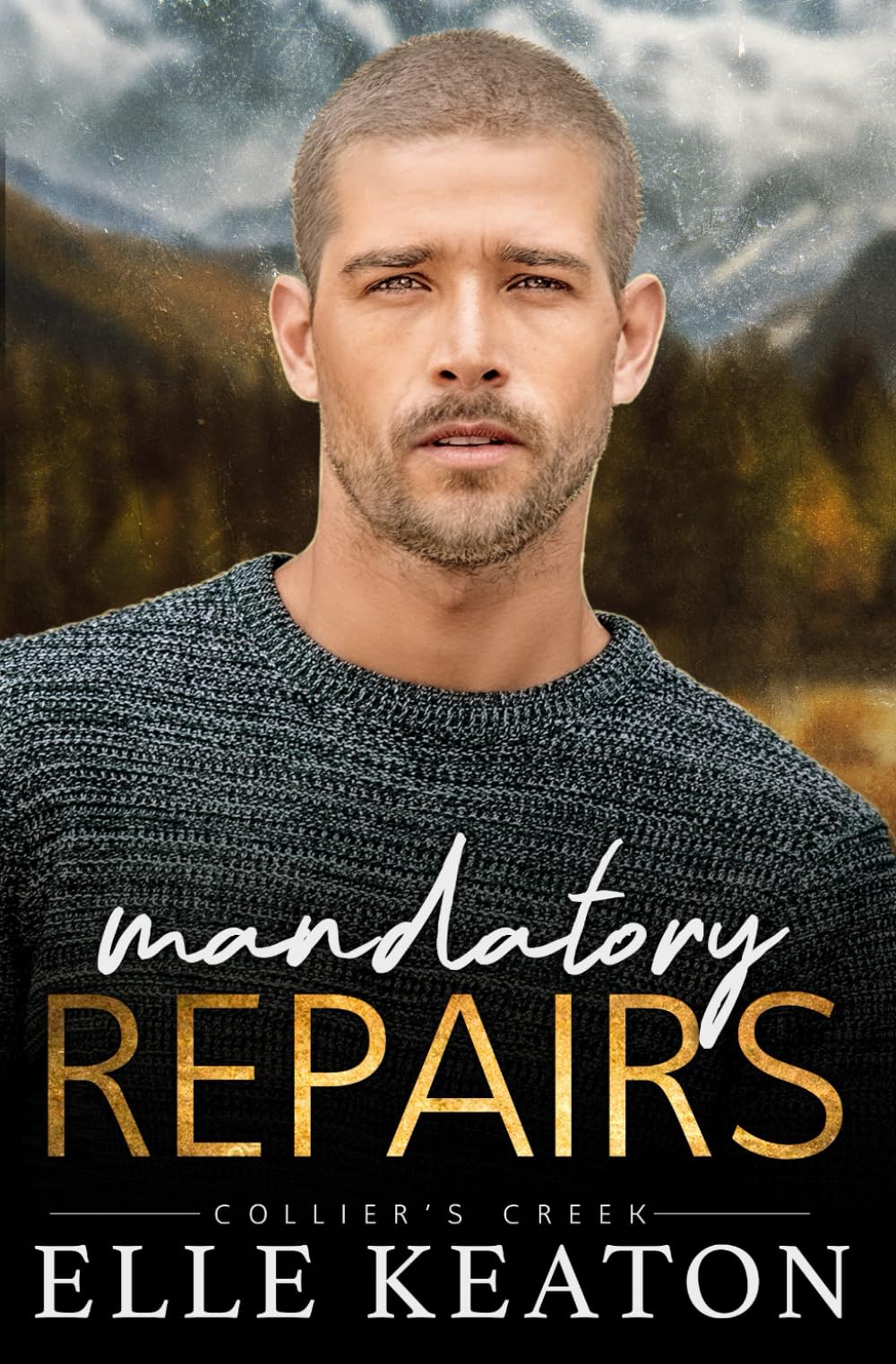 Mandatory Repairs: Small Town MM Romance