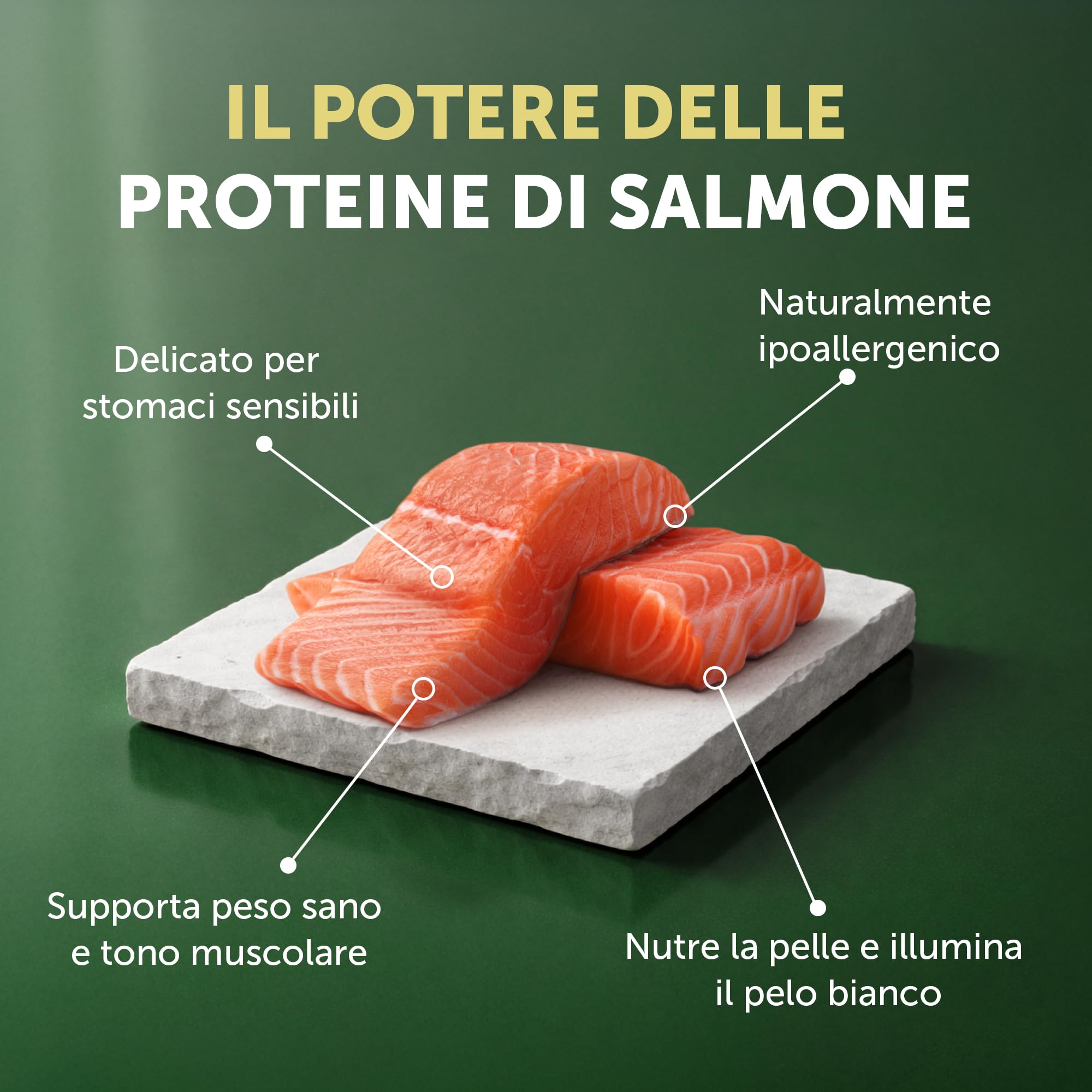 Nature's Protection Superior Care Cibo secco per cani adulti, Salmone 10 kg | Antimacchia lacrimale, manto bianco brillante, Senza cereali, Crocchette piccole, Manti bianchi/chiari, Razze piccole