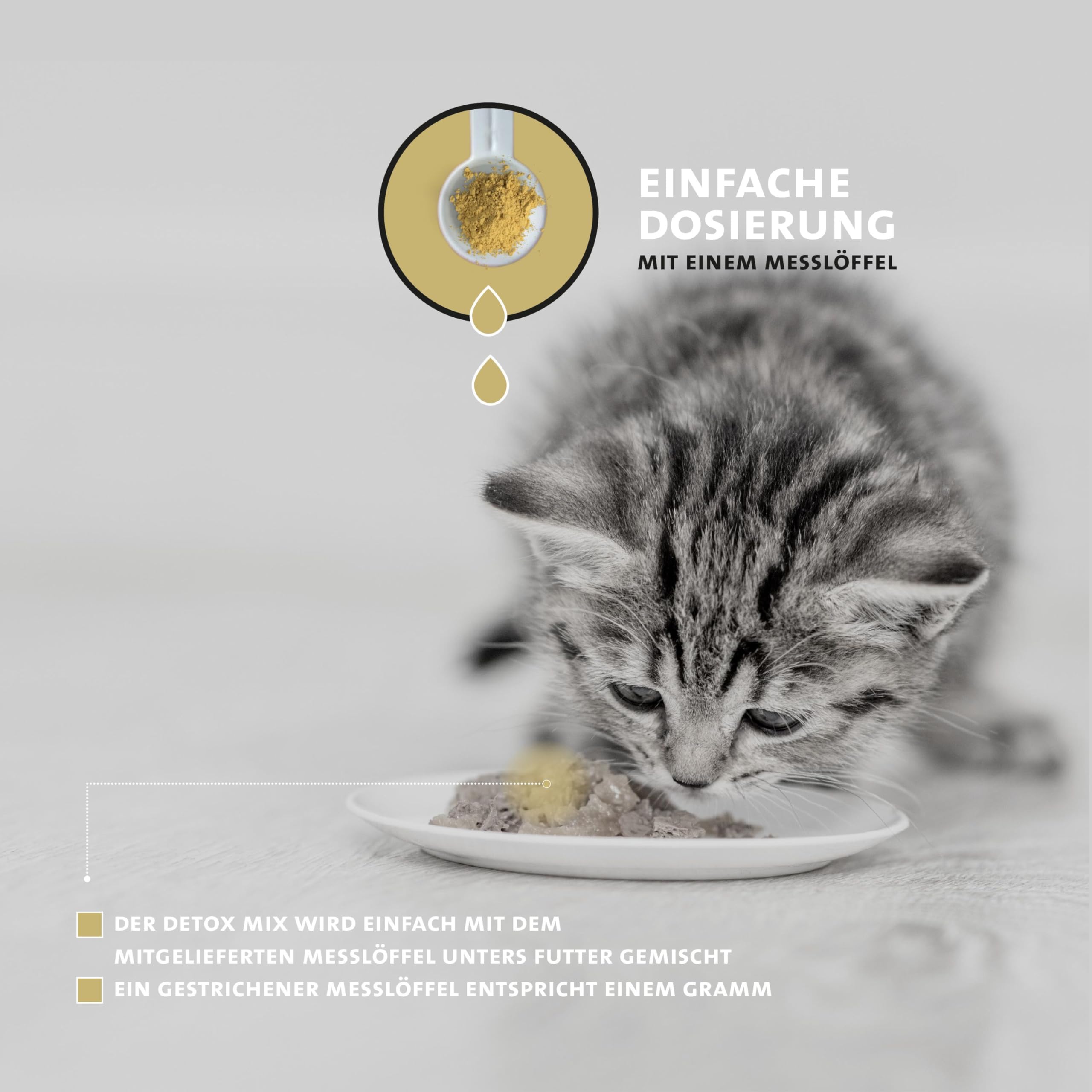 Peticare PetCat Health 3604 proszek detoksykacyjny dla kotów, oczyszczająca formuła wspomaga wątrobę i nerki, wspomaga trawienie i układ odpornościowy, z ostropestem plamistym, MSM | naturalna karma