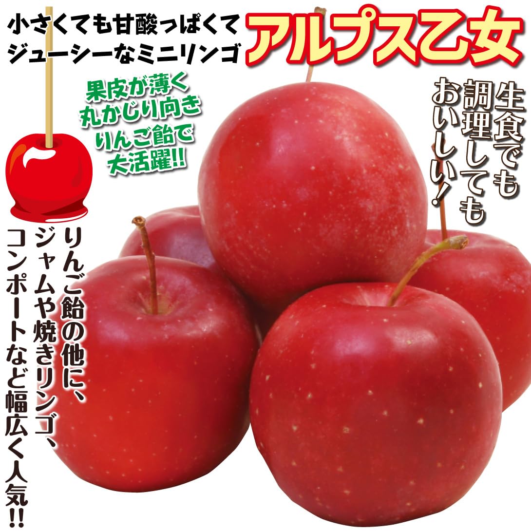 Amazon.co.jp: 果樹苗 リンゴ アルプス乙女 実つき 1株 / 国華園 25