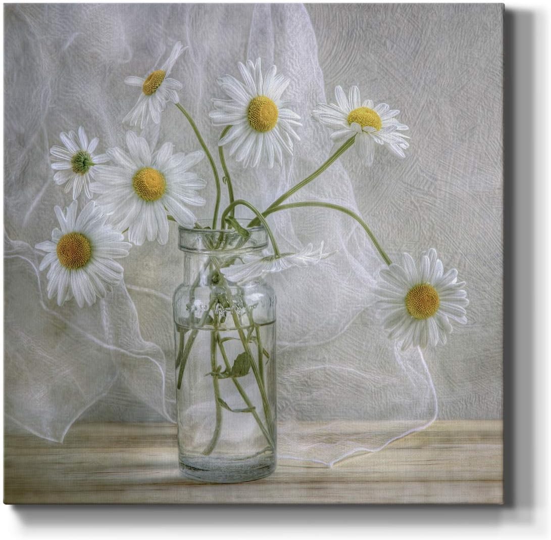 Renditions Gallery Daisies Wall Art, Premium Gallery Wrapped Canvas White Flower in Bottle Wall Decor, Ready to Hang, 24 in H x 24 in W, Made in America Print