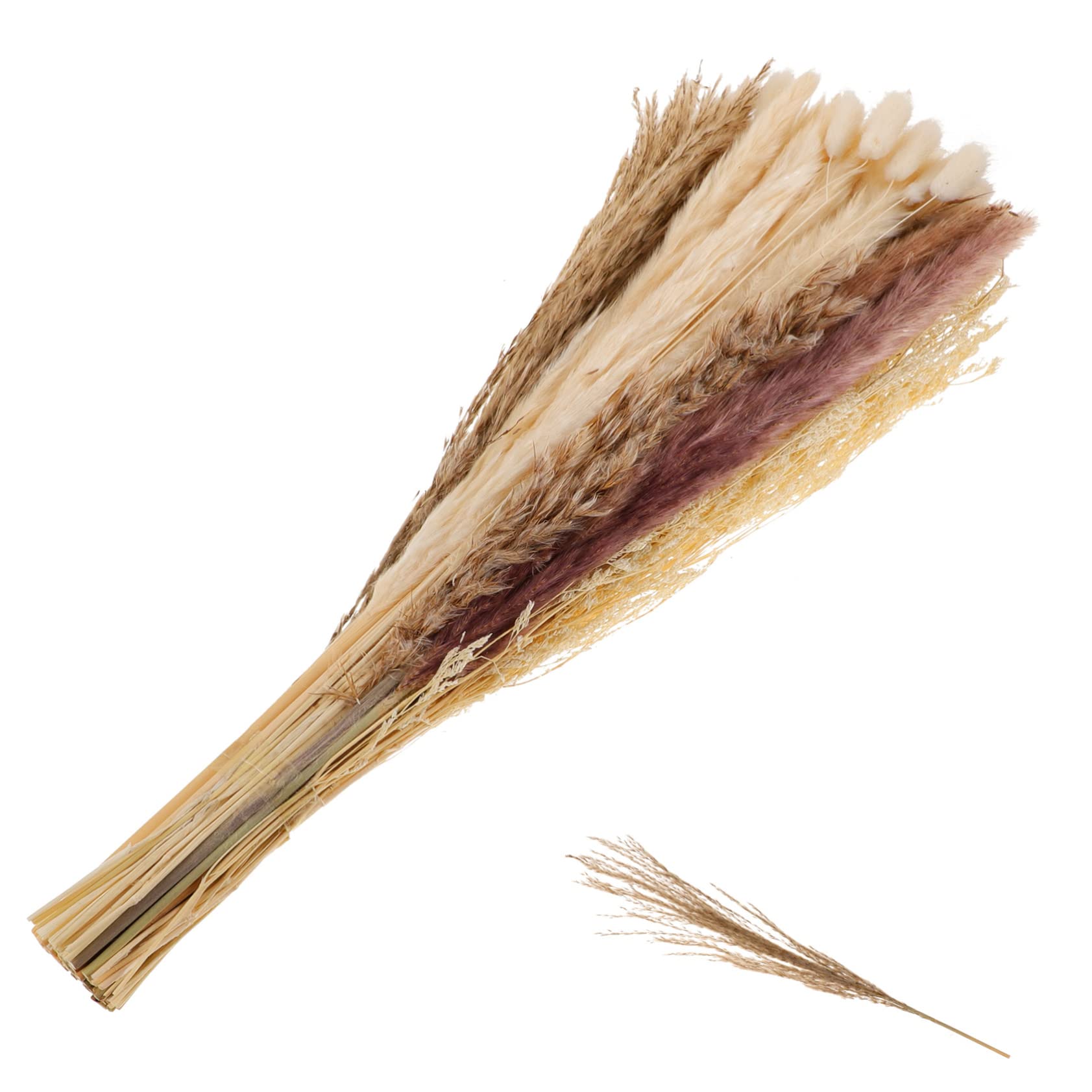 Zerodeko 2ensembles Pampas Séchées Artificielles De Tiges De Fleurs Décoratives pour Décoration DIY Ambiance pour Mariages Et Événements pour Maison Et Bureau