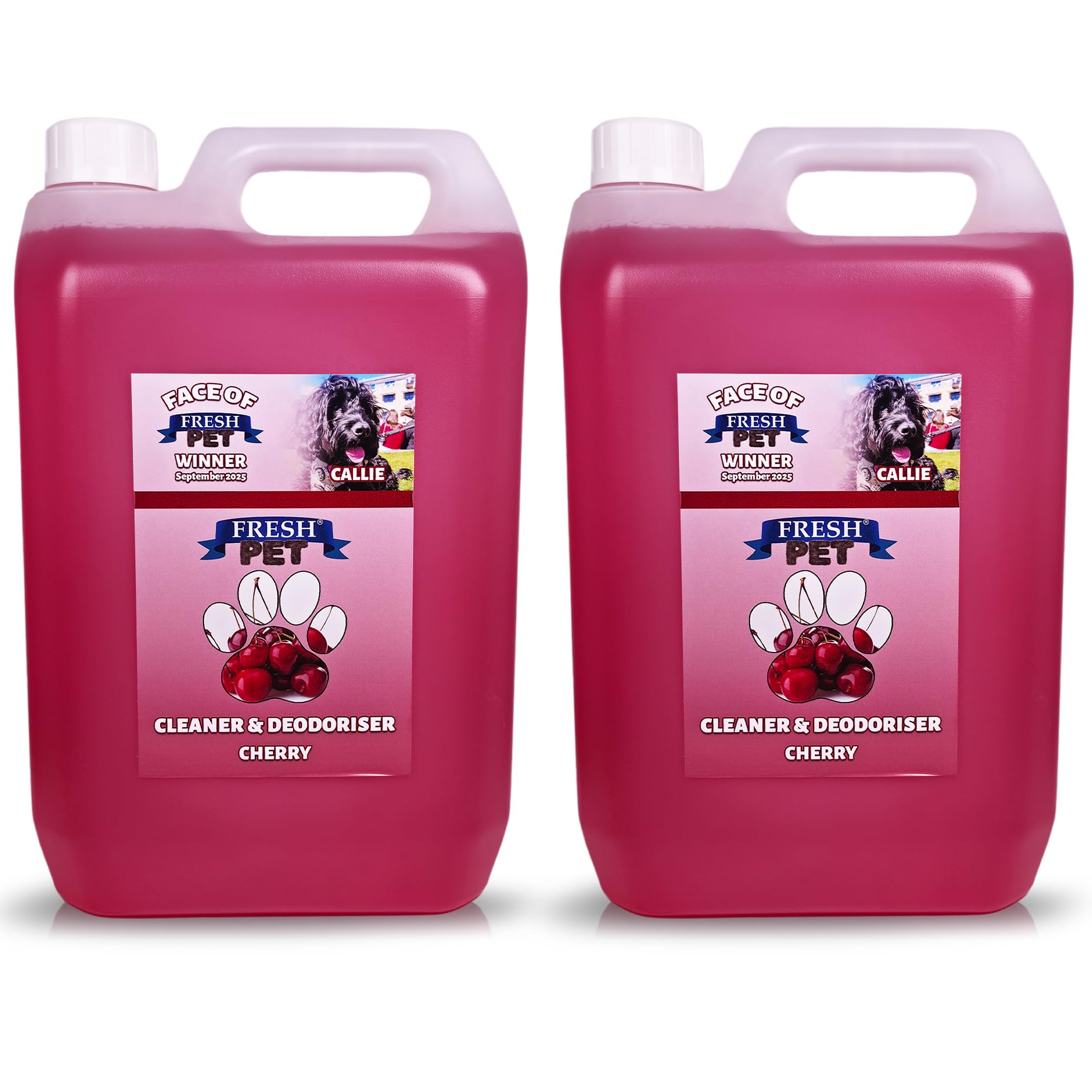 FRESH PET URINE SMELL ODOUR REMOVER 2 x 5L - TRADE Chem (CHERRY)