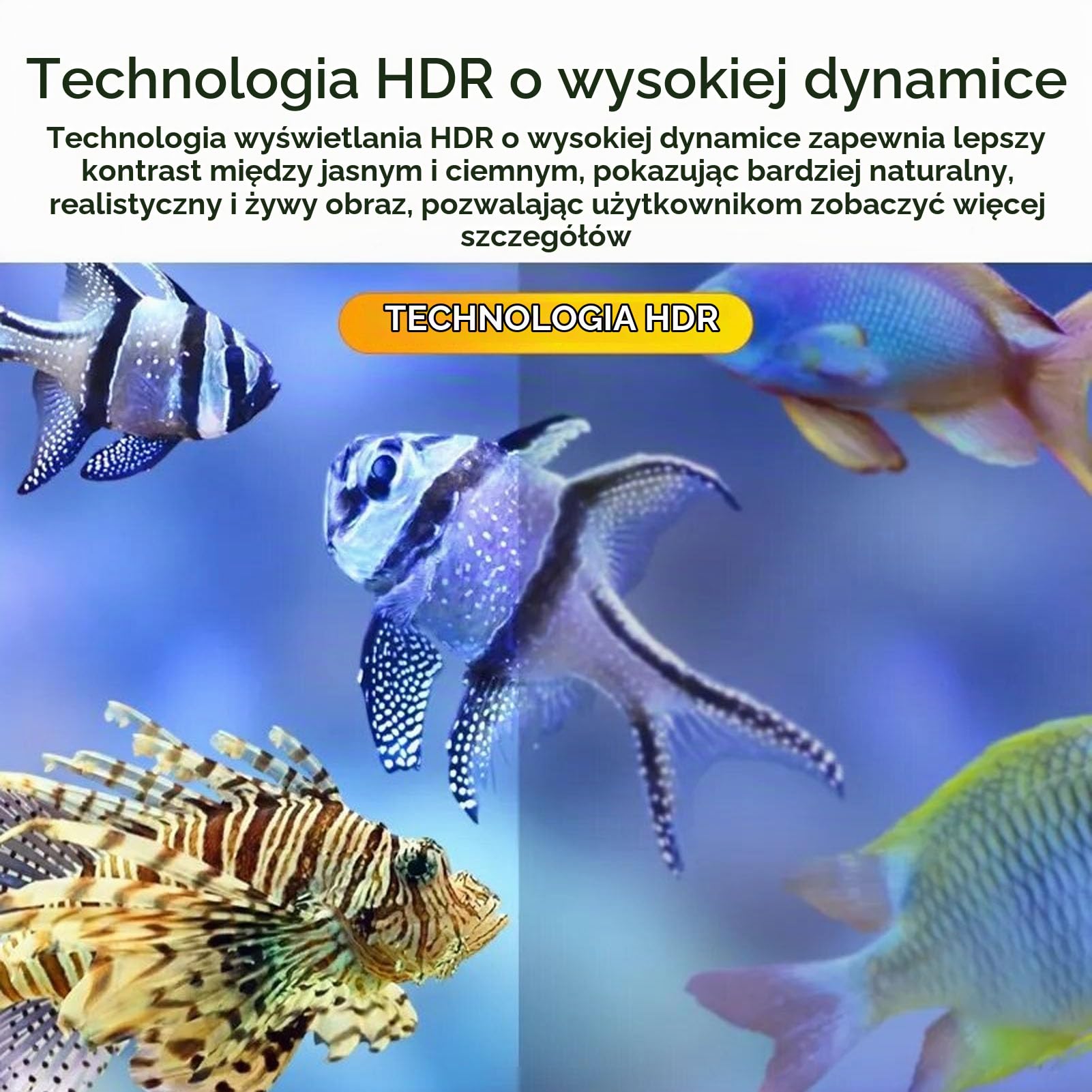 Mini Projektor, Przenośny Projektor Filmowy 1080P HD, Inteligentny Projektor Domowy, Projektor Wideo LED, z Interfejsami HDMI, USB, AV, Pilotem, na imprezę podróżującą na