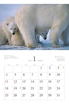 星野道夫 まとめ売り カレンダー2026 星野道夫ベストセレクション 極北の動物たち（月