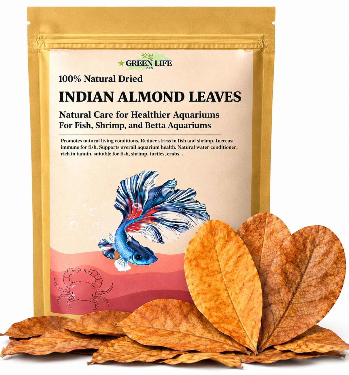 Lot de 50 feuilles d'amandes indiennes de qualité supérieure - 25,4 à 30,5 cm - Feuilles catappa riches en tanin - Décoration d'aquarium - Grande taille