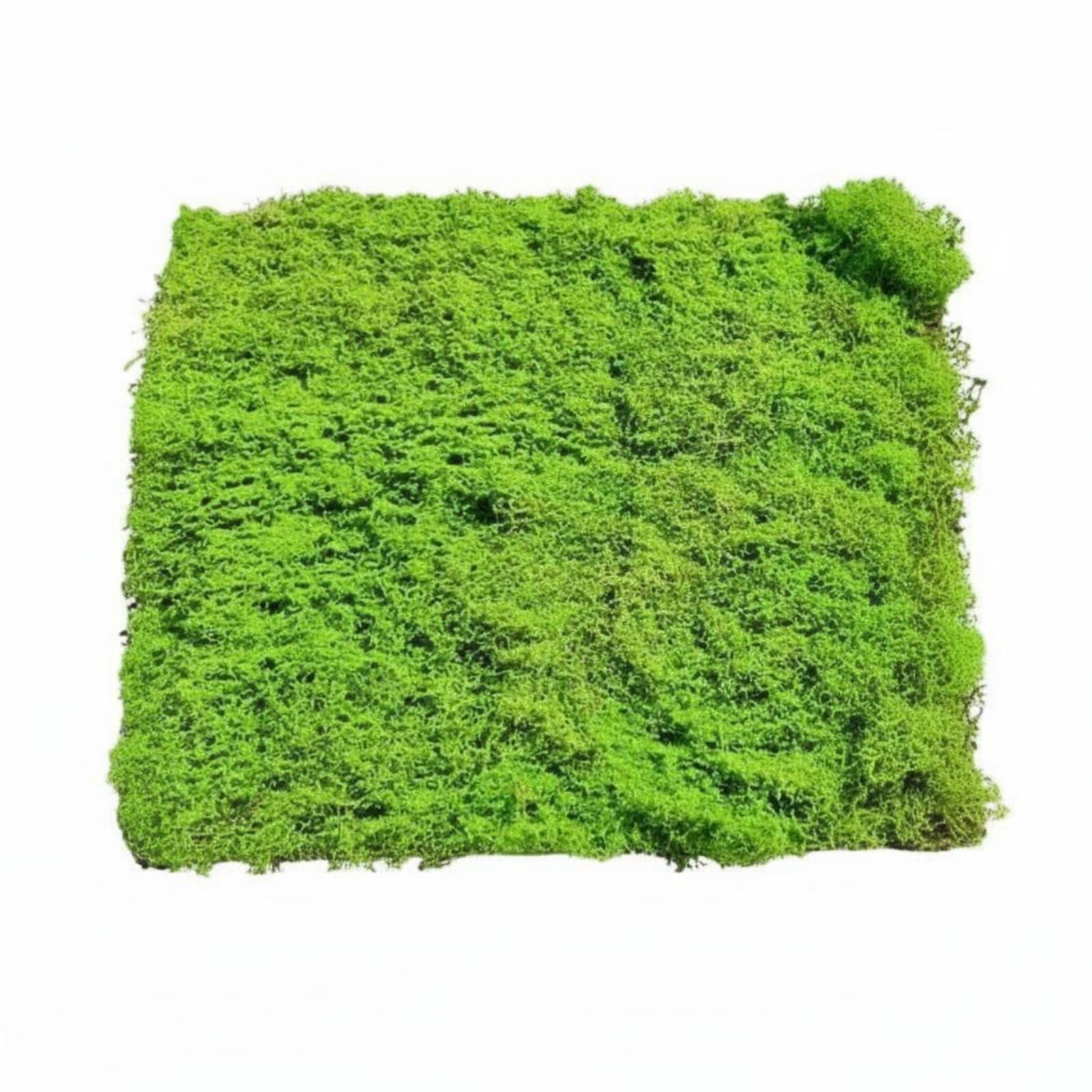 Baoblaze Panneau de Verdure Décoratif Tapis de Lichen Artificiel Feuillage Synthétique Plaque de Mousse Imitation Texture Réaliste Facile à Couper et Façonner, 1m X 1m, Style to 11