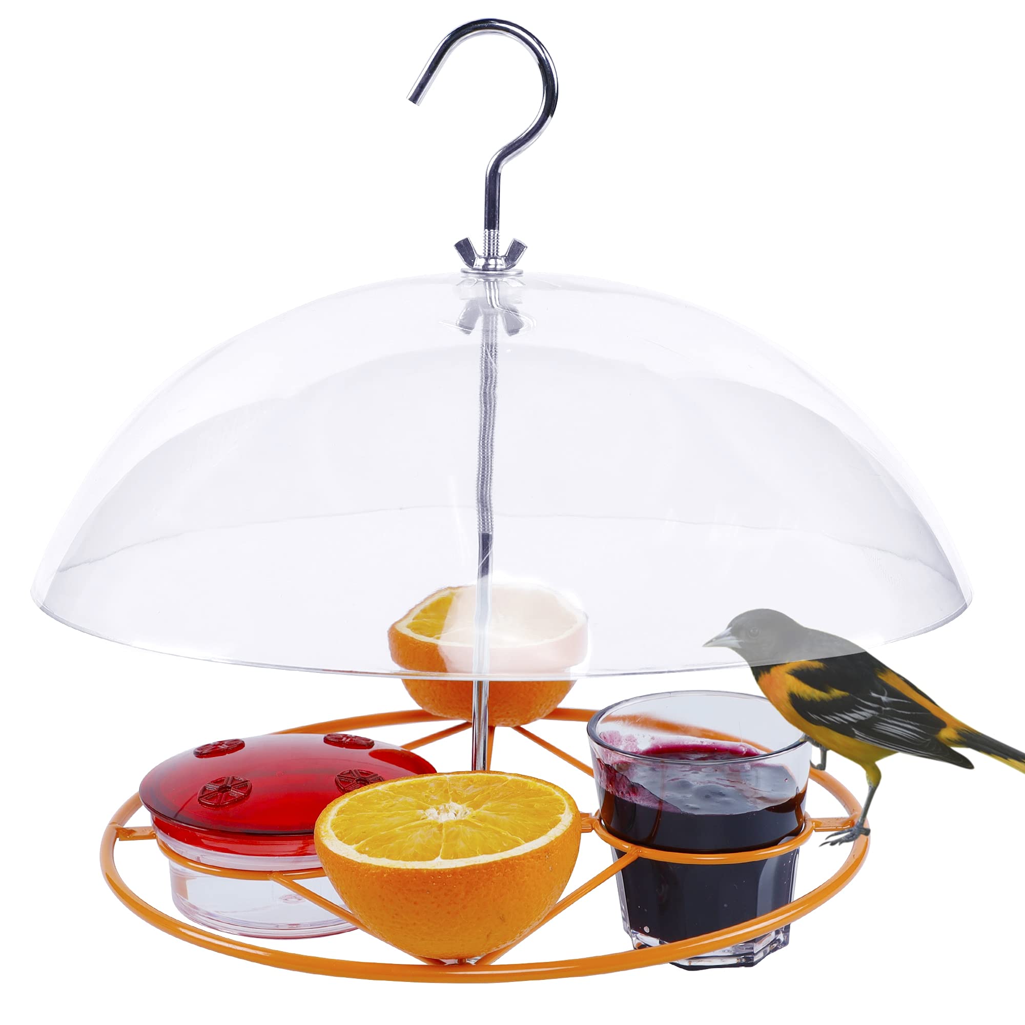 Buy Twinkle Star Oriole Bird Feeder, 3 Types Food, Orange Halves Fruit