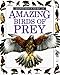 Amazing Birds of Prey (Eyewitness Junior)