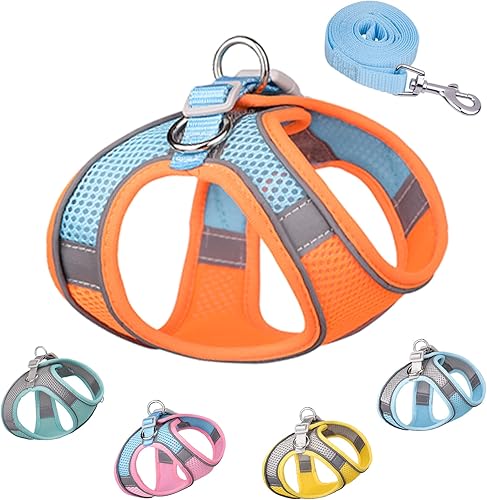 Arnés para perro para perros pequeños y medianos, fácil de poner, arnés de malla suave y juego de correa para gatitos y cachorros, arnés ajustable