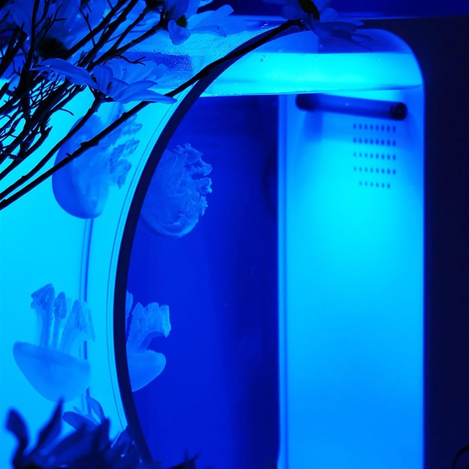 Acquario per Pesci Serbatoio di pesce Serbatoio di meduse bilaterale Serbatoio di pesce da tavolo Acquario Piccolo serbatoio di meduse Serbatoio di pesce ornamentale Acquario for ufficio Decorazione d