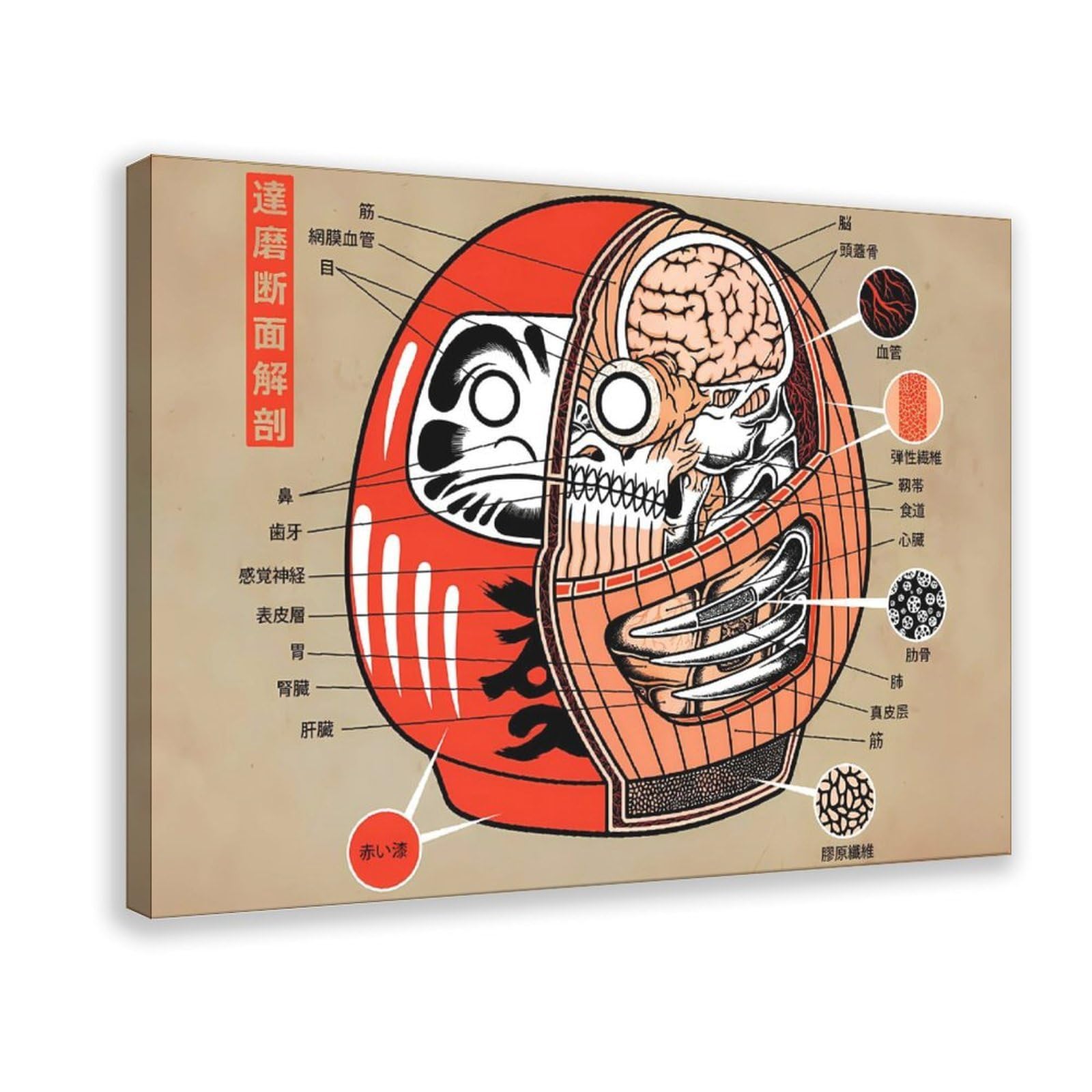 Qnvjqkdsi Frame Daruma Doll Anatomy Art Canvas Poster Wall Art Decor Print Picture Paintings For Living Room Bedroom Decoration 20" L X 30" W