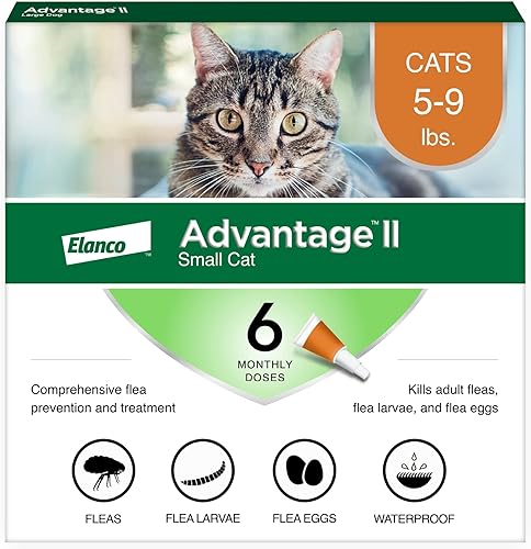 Advantage II Tratamiento y prevención de pulgas recomendado por veterinarios para gatos pequeños | Gatos de 5 a 9 libras | Suministro para 6 meses