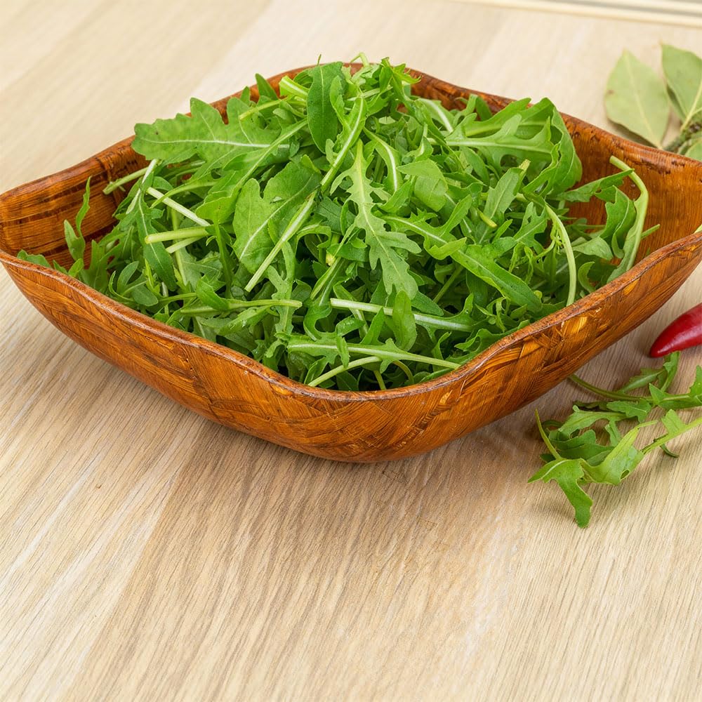 Rocket Wild Seeds β Easy to Grow Gourmet Salad β for Your Beautiful Kitchen Garden