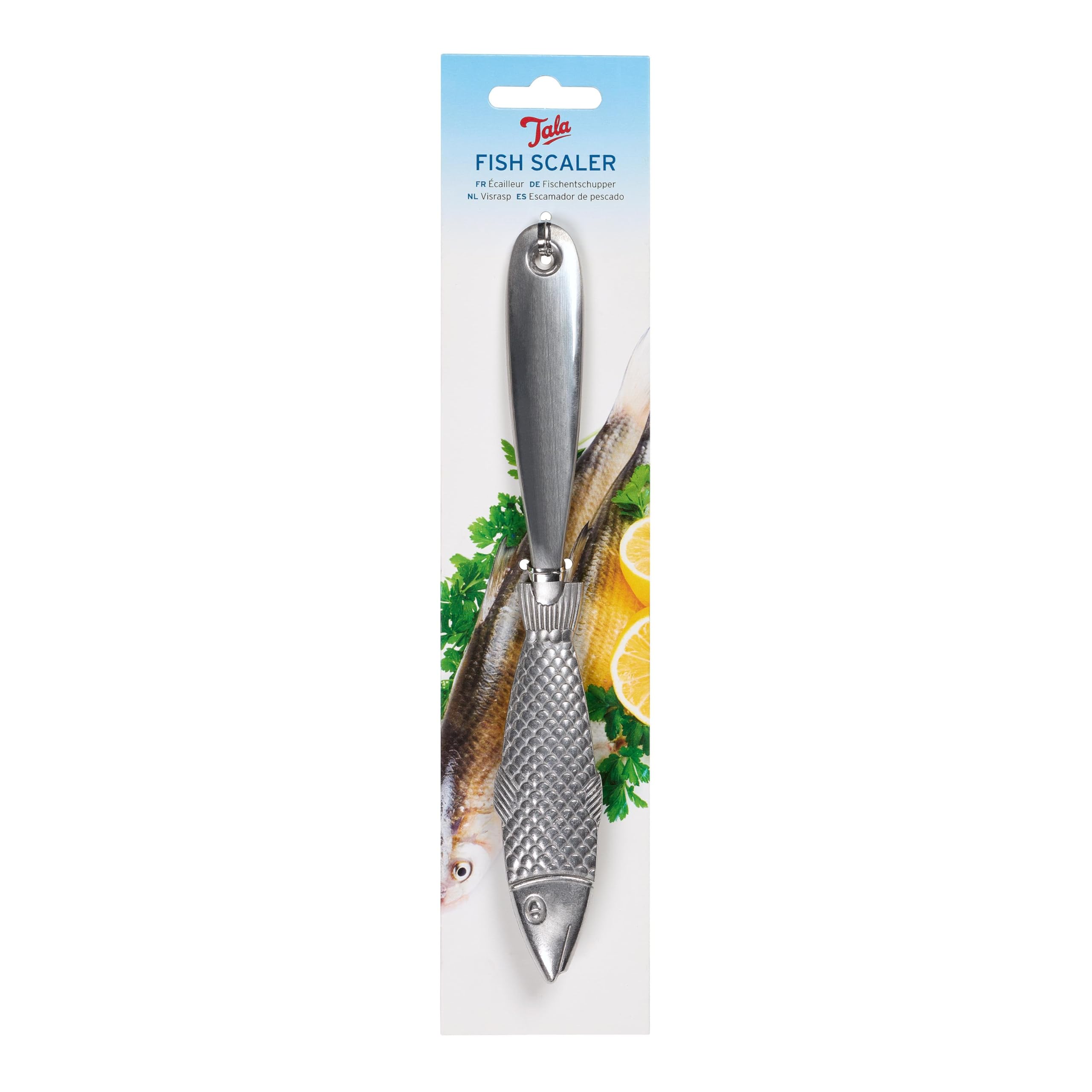 Tala Silver Fish Scaler, Multifunction Fish Scale Remover For Cleaning And Preparing Fish For Cooking, Strong Durable Metal Kitchen Gadget For Easy Scaling Of Fish For Cooking
