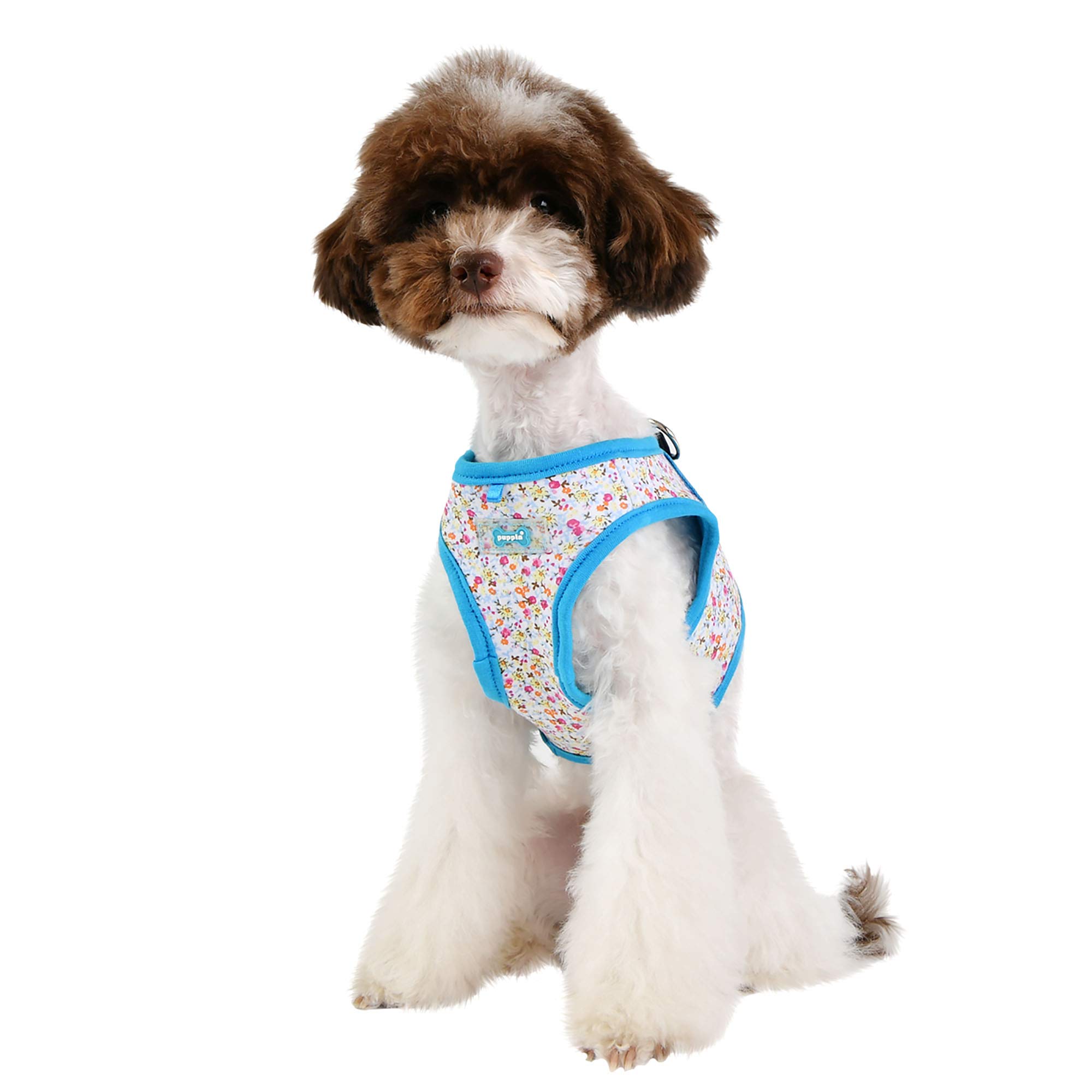 Puppia Wildflower Hundeleine – Größe M, Himmelblau, 200 Cm Länge, 1,5 Cm Breite | Sicher & Stylisch