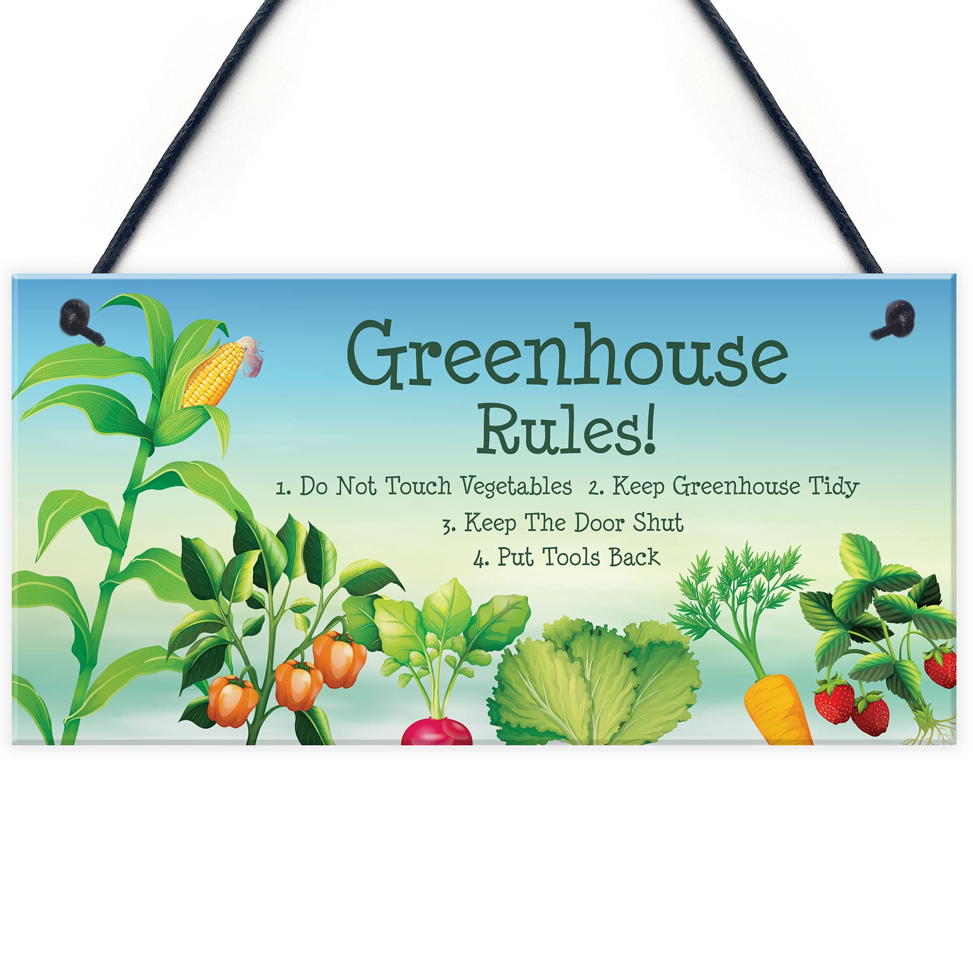 Greenhouse Rules Sign Garden Summerhouse Shed Sign Gardners Gift Plaque