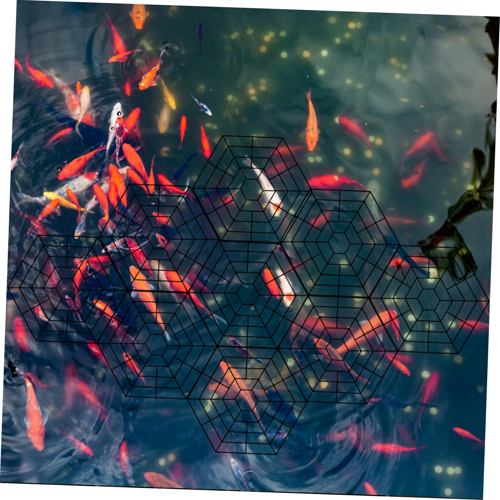 Abaodam 15 Piezas Protección para Estanques de Peces Flotante de Seguridad para Estanques al Aire Resistente y de Instalar para Peces de Depredadores y Escapes