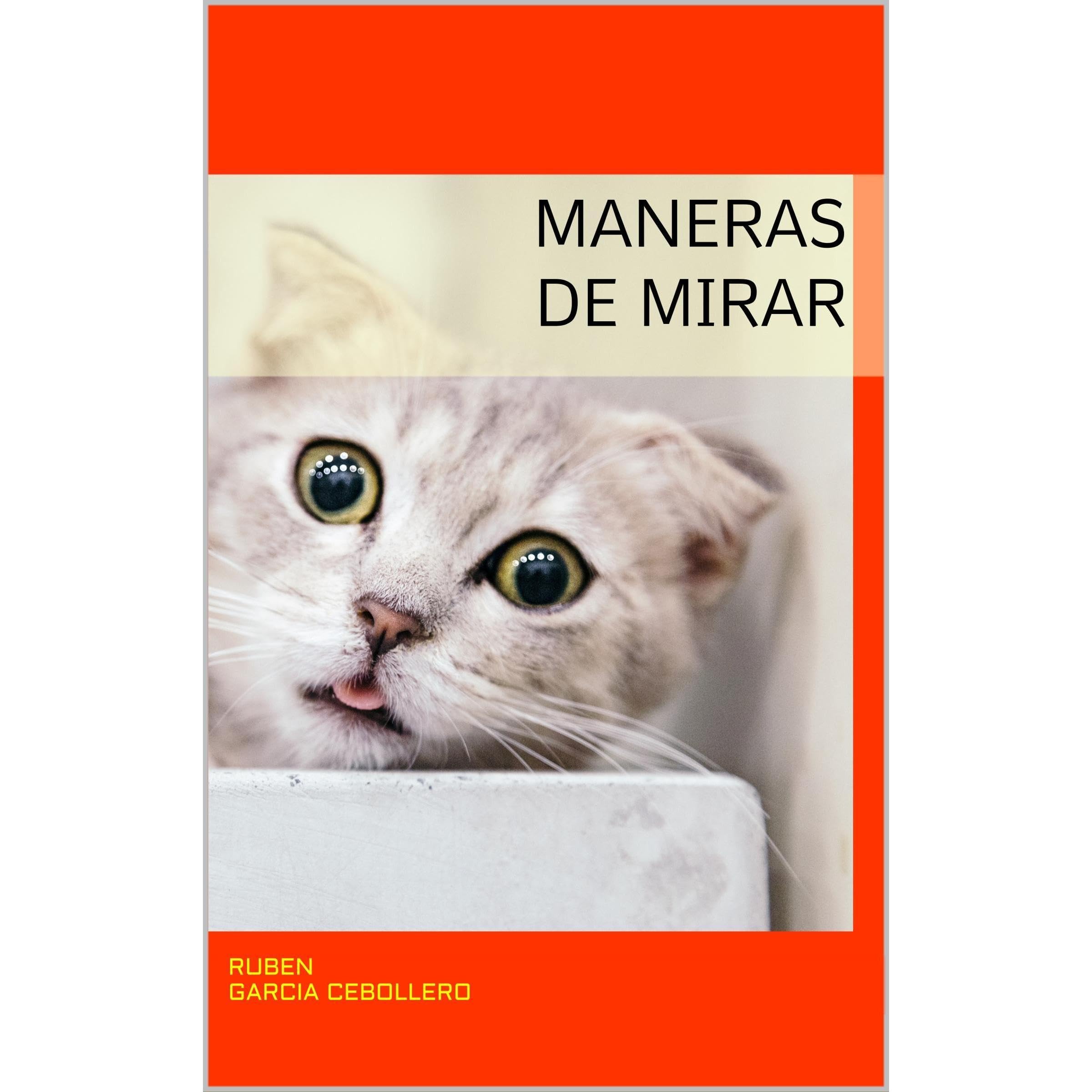 Maneras de mirar