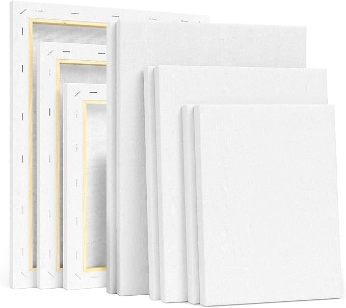 Pre Stretched Canvas Bulk Pack Blank Canvases for Painting