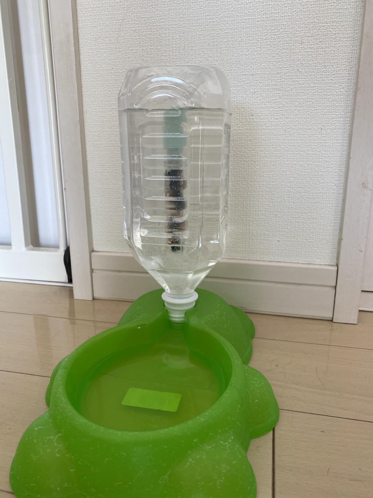 お皿のヌルヌルが全然ない！とても良い！