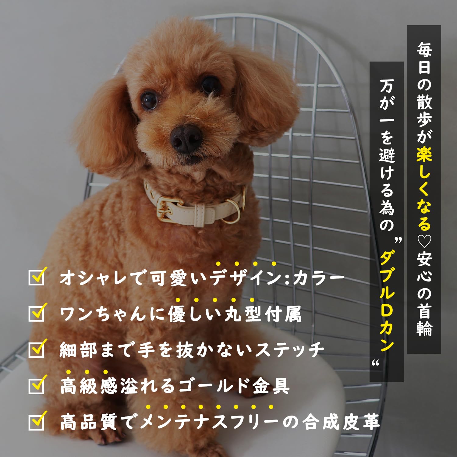 黄金ステッチ首輪