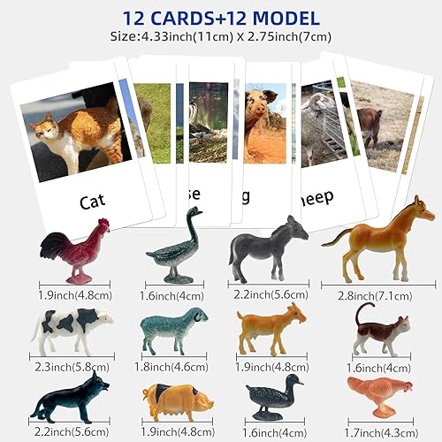 Vista 6 de MEROCO Montessori - Tarjetas de fósforo de animales en miniatura con tarjetas a juego, juguete de aprendizaje Montessori de 2 partes