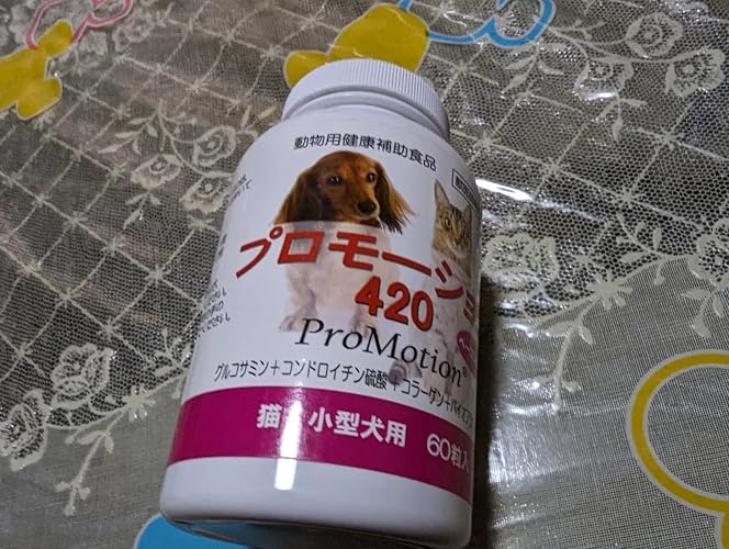 Amazon | 共立製薬プロモーション420 60粒入 | 共立製薬 | ビタミン