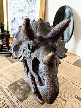 Amazon.co.jp: トリケラトプス インテリア オブジェ 恐竜の化石 Amazon.co.jp: トリケラトプス インテリア オブジェ 恐竜の化石