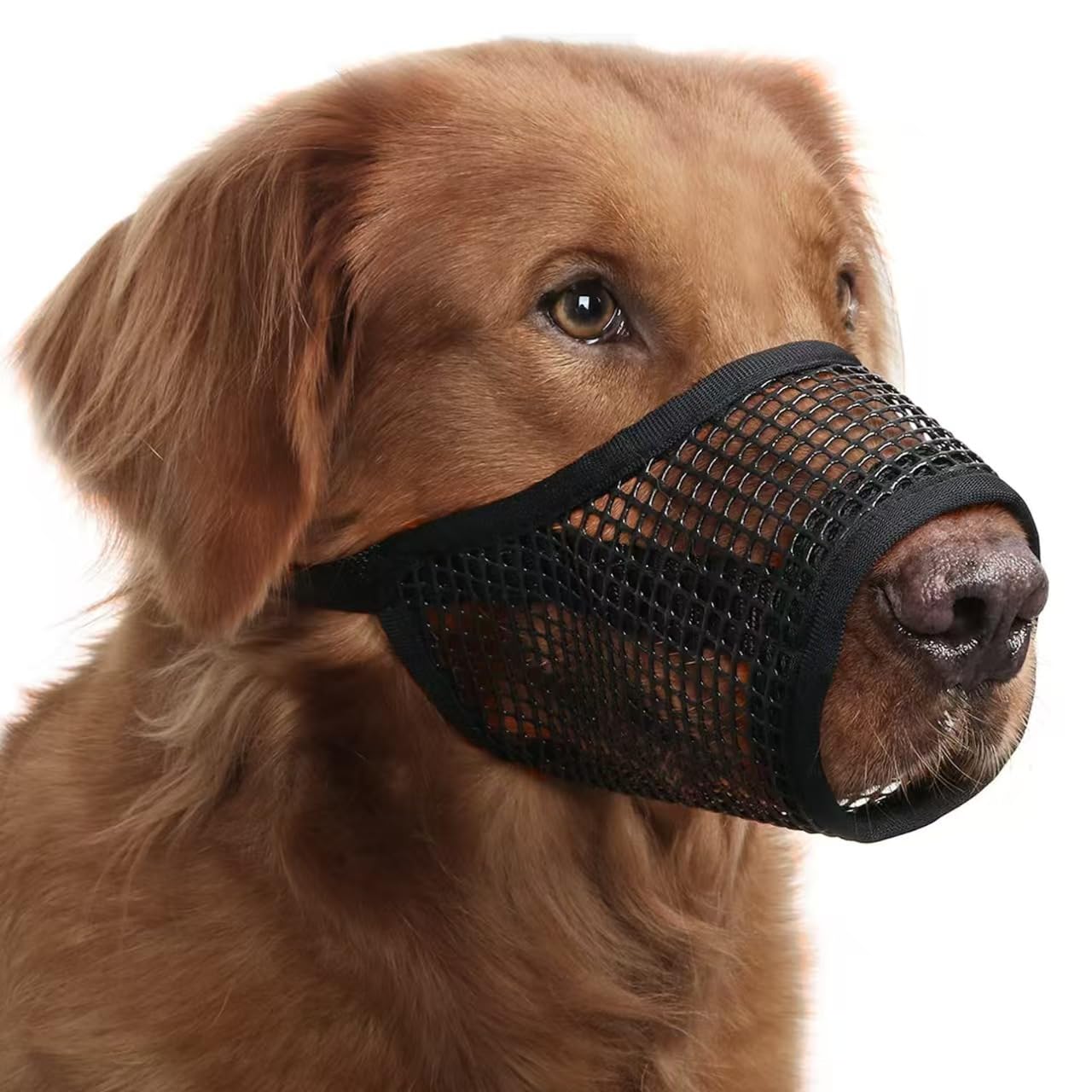 AMWYODK Dog muzzle,suitable for small, medium, and large dog,Prevent biting, barking, and gnawing,Adopt a soft mesh muzzle,Allow Panting Drinking。 (XL-(Snout 9½”-10¼”))