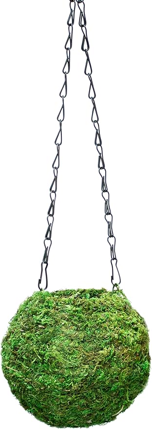 SuperMoss (29348) Kokedama Planter, 6", Fresh Green