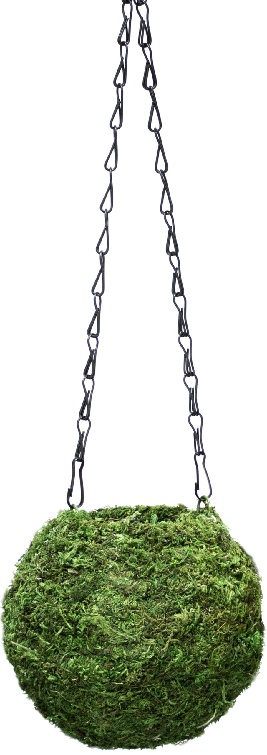 SuperMoss (29348) Kokedama Planter, 6", Fresh Green