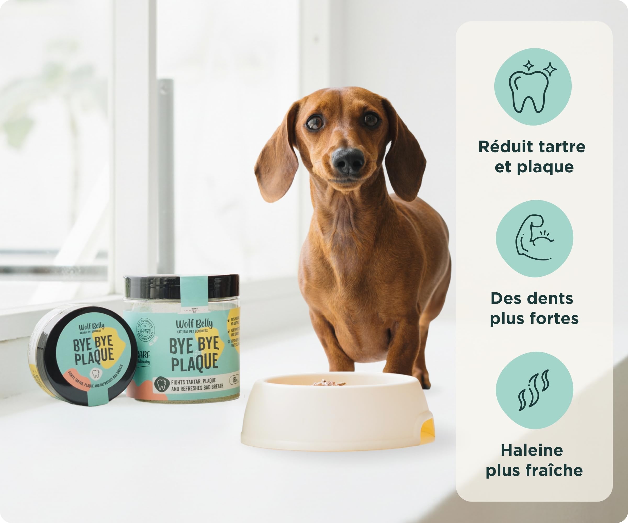 Wolf Belly - Pack Probiotique et Hygiène Dentaire 100% Naturel (180g) | Digestions Saines + Anti tartre | pour Chiens et Chats | Format Poudre - Fabriqué en Europe