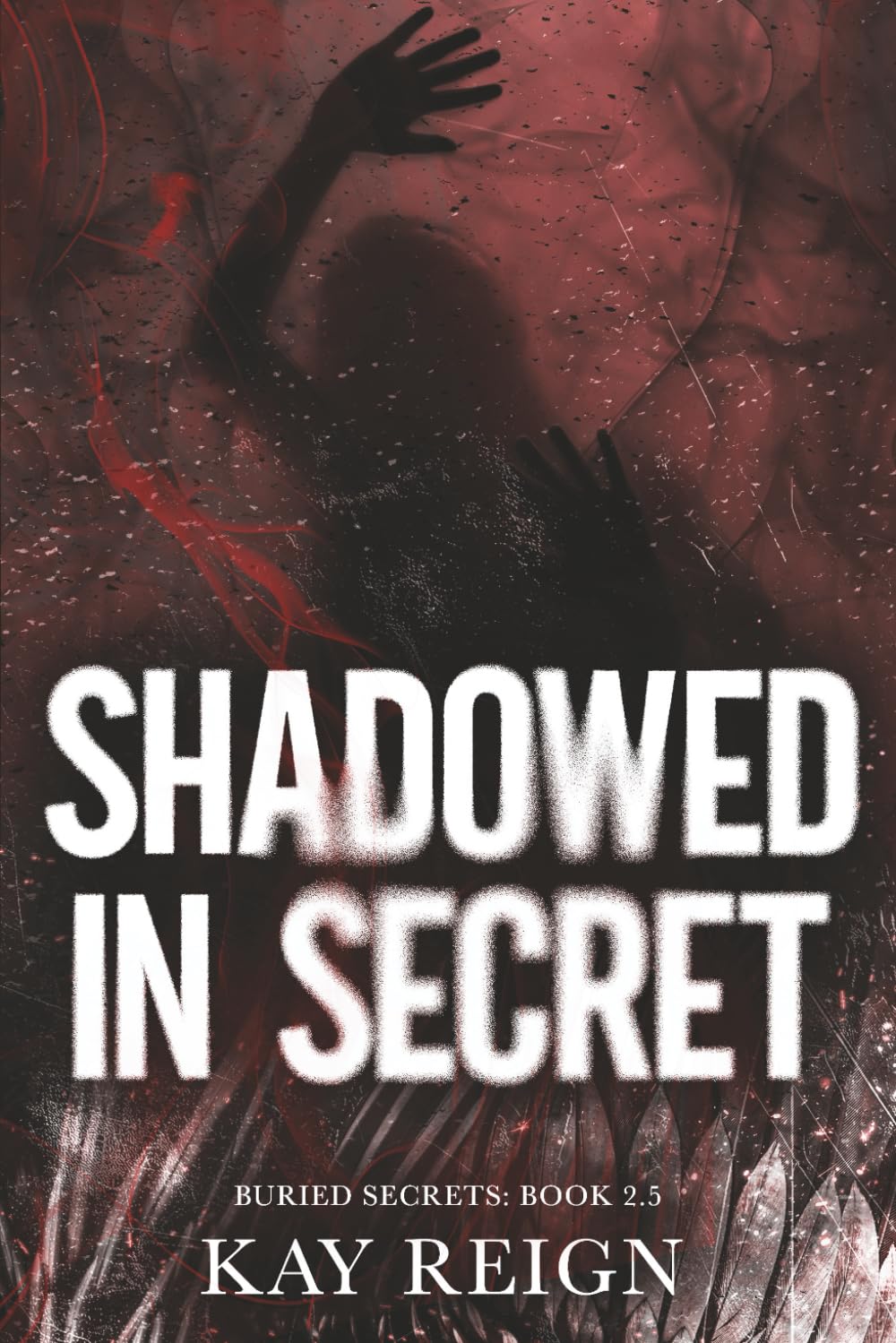 Shadowed in Secret: Buried Secret 2.5
