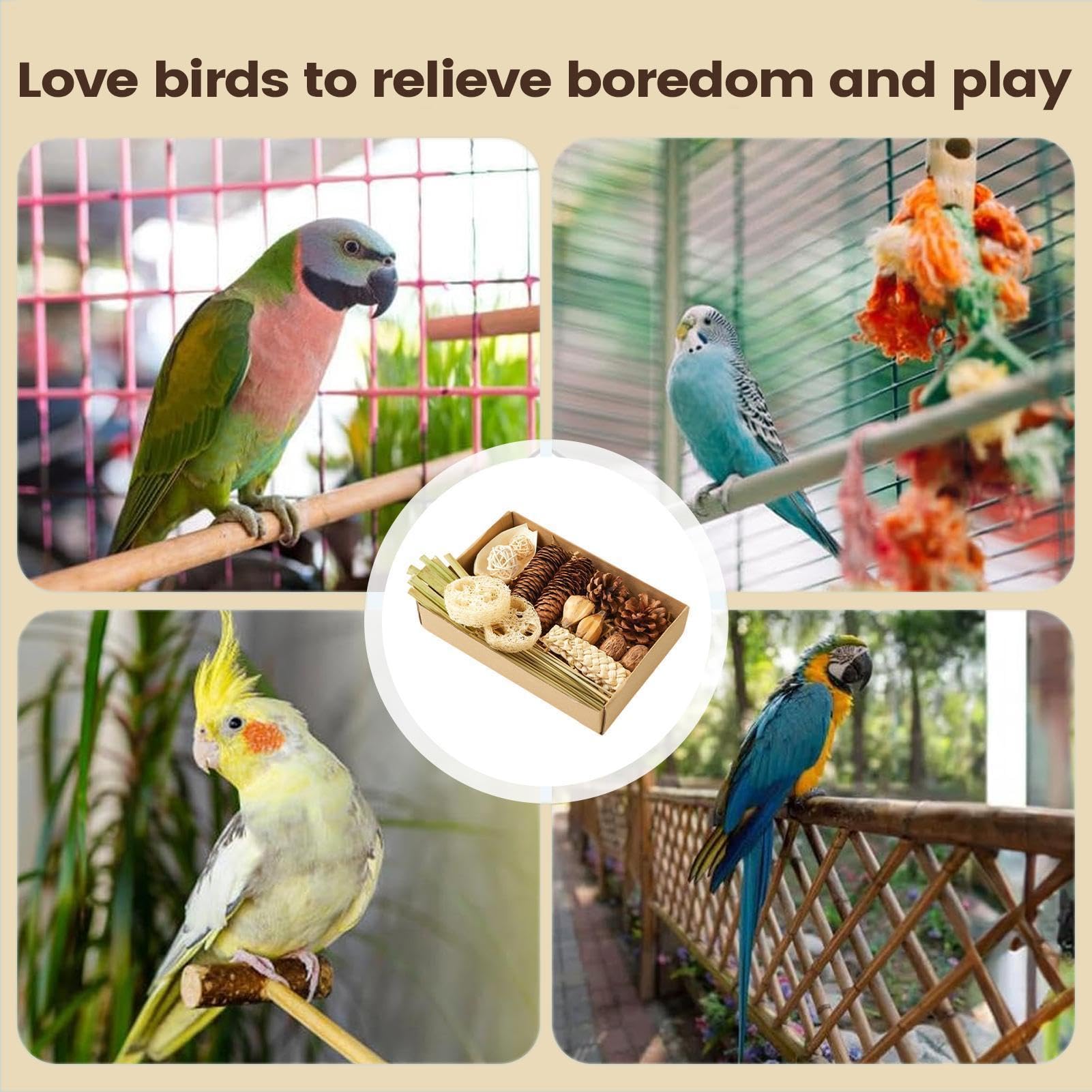 Cockatiel zabawki do żucia rozdrabnianie wzbogacanie pudełko