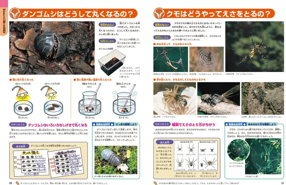 学研の図鑑　ニューワイド　実験・自由研究　昆虫　地球　魚　鳥　動物　生き物　本 実験・自由研究 (ニューワイド学研の図鑑) | - |本 | 通販 | Amazon