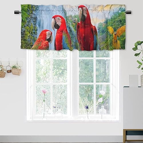 Divertidas cenefas de tratamiento de ventana de loro, con diseño de pájaros tropicales, hermosas cortinas de verano con bolsillo para cortinero,